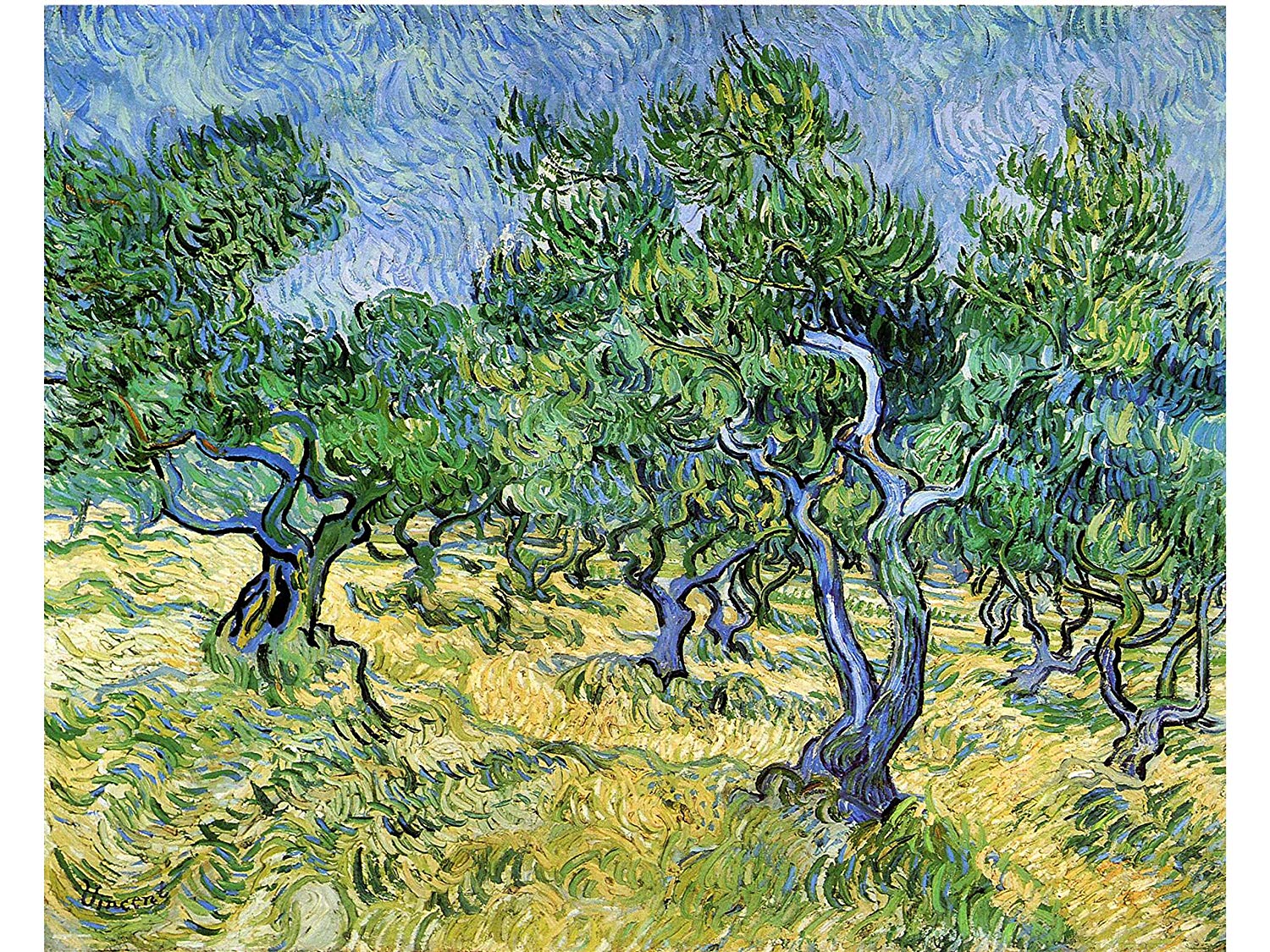 Vincent Van Gogh, Olive Grove, 1889